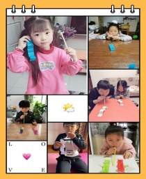 毛毛虫