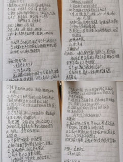 QQ图片20200516152746