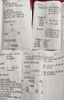 QQ图片20200527085528