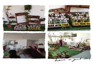 IMG_3752(20201023-170921)