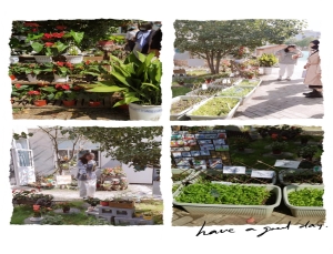 IMG_3767(20201023-172824)