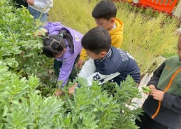 C:\Users\章章小仙女\Desktop\QQ图片20220516194051.jpgQQ图片20220516194051