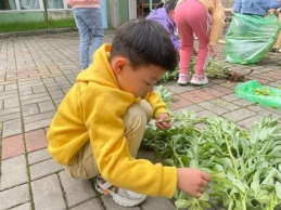 C:\Users\章章小仙女\Desktop\QQ图片20220516194109.jpgQQ图片20220516194109